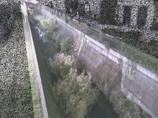 矢崎橋付近のカメラ画像