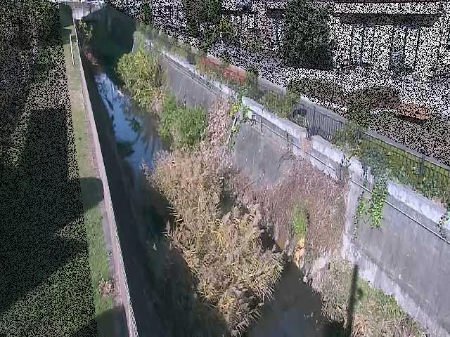 矢崎橋付近のカメラ画像