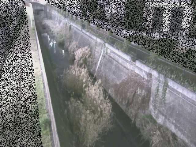 矢崎橋付近のカメラ画像