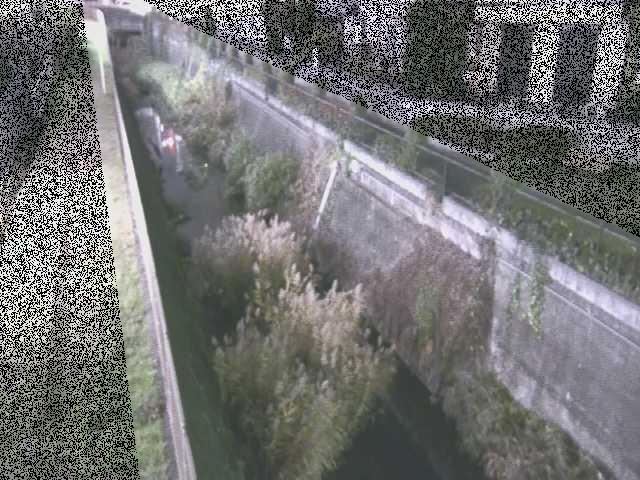 矢崎橋付近のカメラ画像