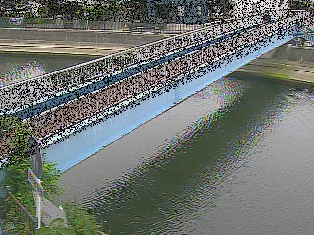 鷹取川 鷹取川人道橋付近のカメラ画像