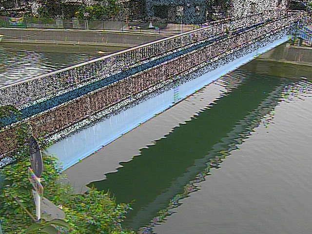 鷹取川 鷹取川人道橋付近のカメラ画像