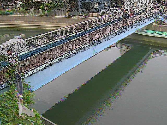 鷹取川 鷹取川人道橋付近のカメラ画像