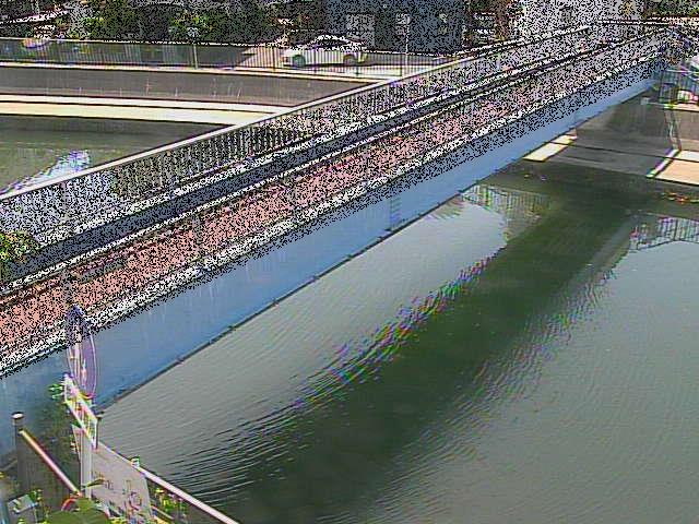 鷹取川 鷹取川人道橋付近のカメラ画像