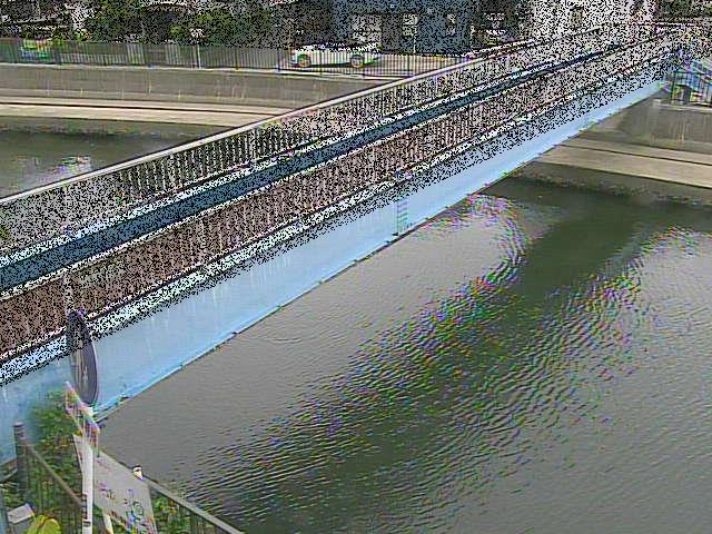 鷹取川 鷹取川人道橋付近のカメラ画像