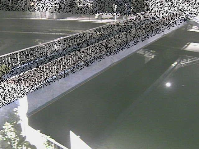 鷹取川 鷹取川人道橋付近のカメラ画像