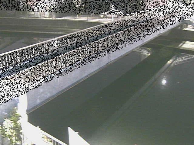 鷹取川人道橋付近のカメラ画像