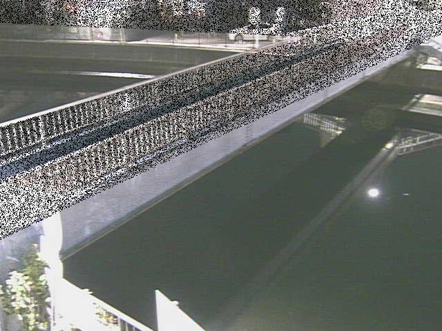 鷹取川 鷹取川人道橋付近のカメラ画像