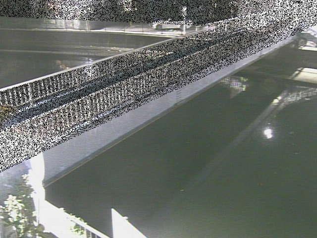 鷹取川 鷹取川人道橋付近のカメラ画像