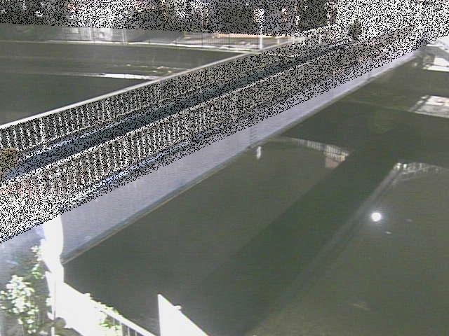 鷹取川 鷹取川人道橋付近のカメラ画像