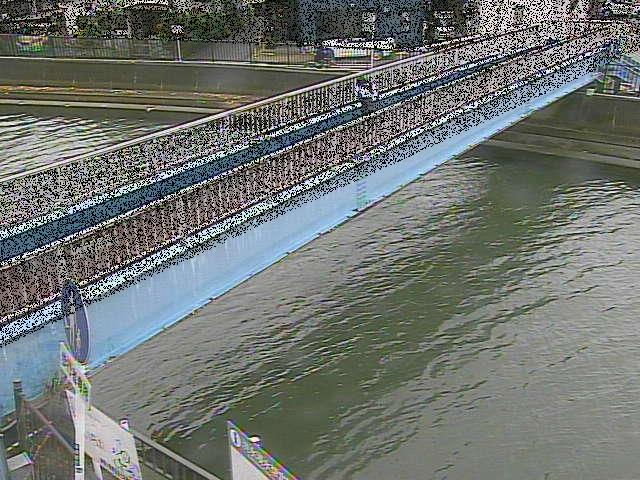 鷹取川人道橋付近のカメラ画像