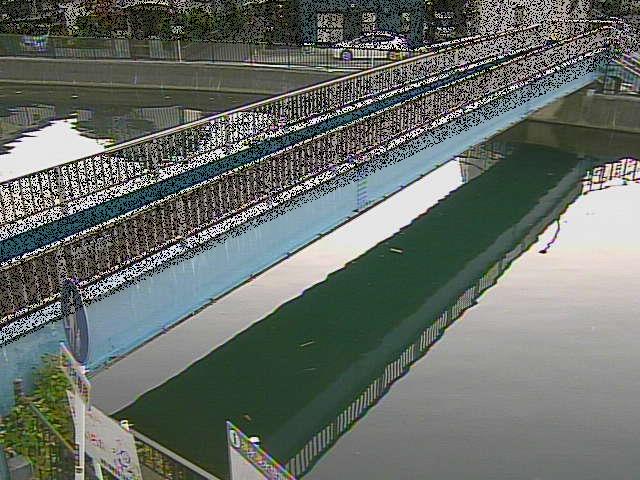 鷹取川人道橋付近のカメラ画像