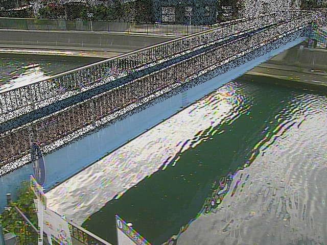 鷹取川人道橋付近のカメラ画像