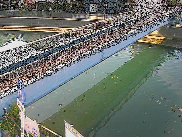 鷹取川人道橋付近のカメラ画像