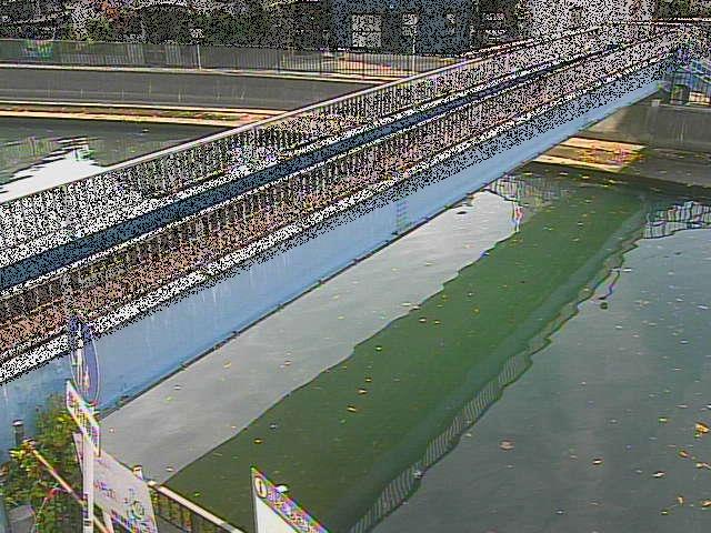 鷹取川 鷹取川人道橋付近のカメラ画像