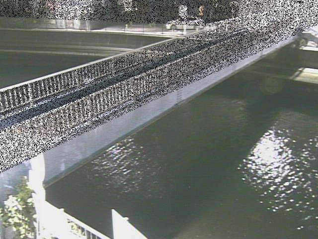 鷹取川 鷹取川人道橋付近のカメラ画像