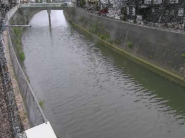 根岸歩道橋付近のカメラ画像