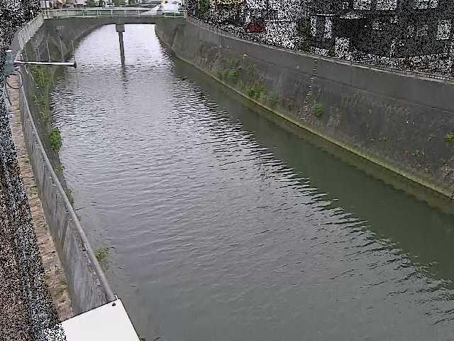 平作川 根岸歩道橋付近のカメラ画像