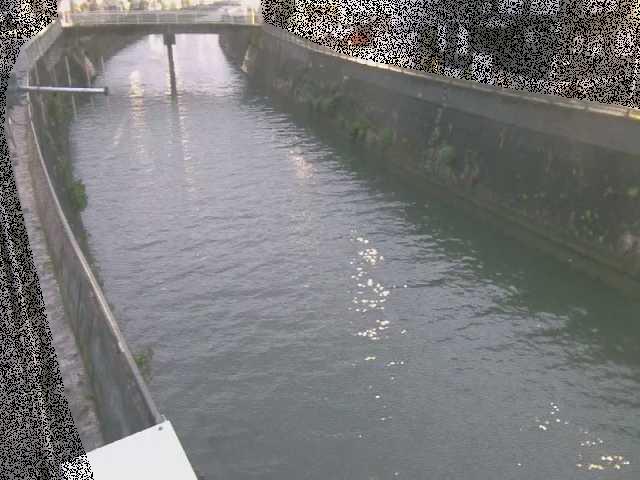 根岸歩道橋付近のカメラ画像
