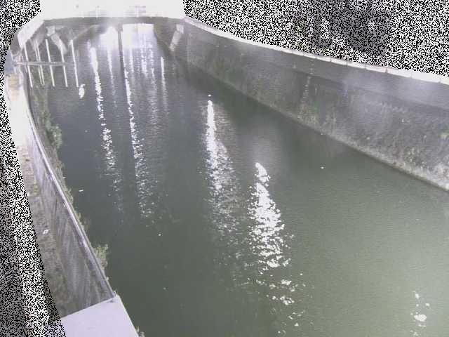平作川 根岸歩道橋付近のカメラ画像