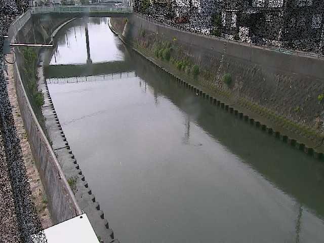 根岸歩道橋付近のカメラ画像