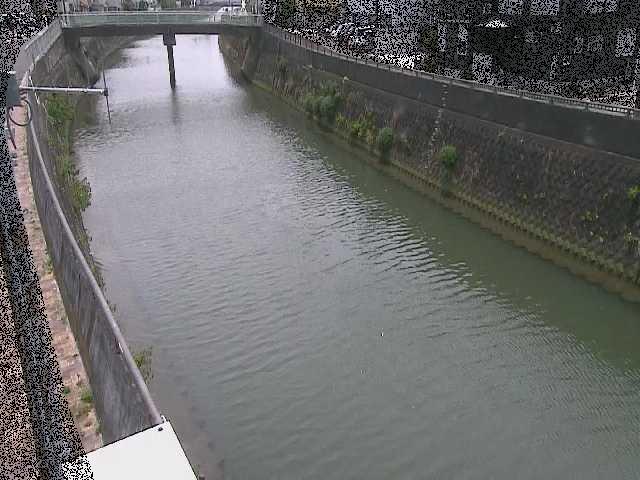 根岸歩道橋付近のカメラ画像