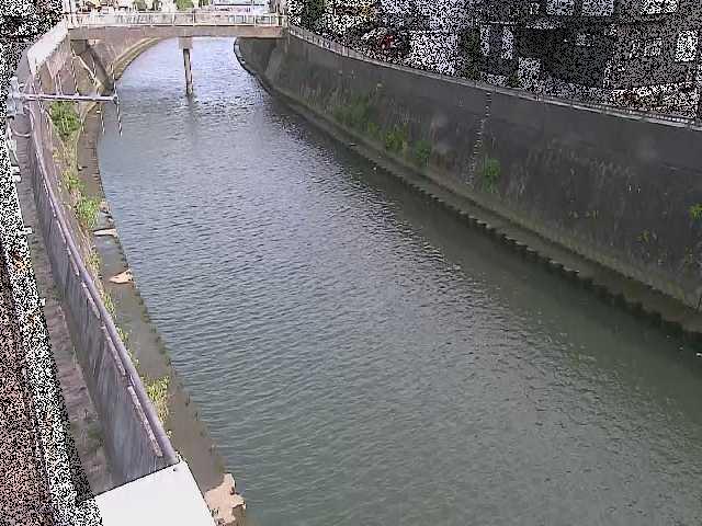 根岸歩道橋付近のカメラ画像