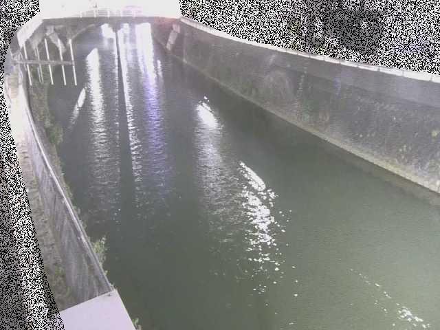 根岸歩道橋付近のカメラ画像