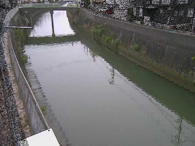 根岸歩道橋付近のカメラ画像