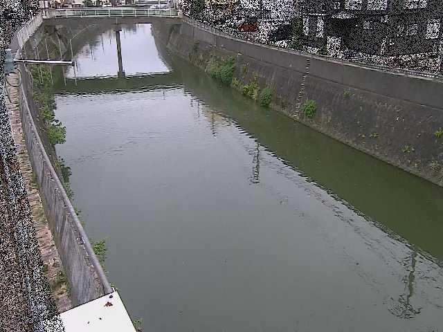 根岸歩道橋付近のカメラ画像