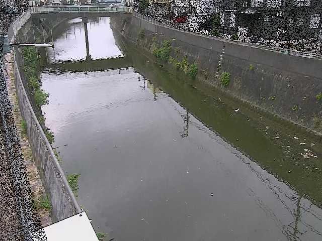根岸歩道橋付近のカメラ画像