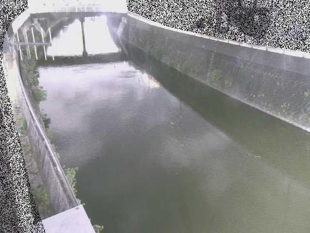 根岸歩道橋付近のカメラ画像