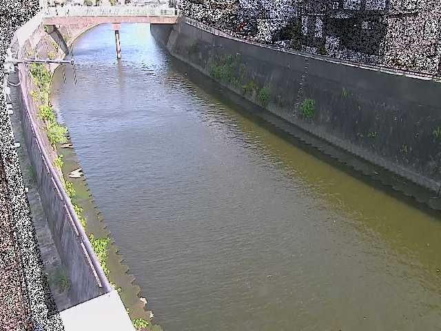 平作川 根岸歩道橋付近のカメラ画像