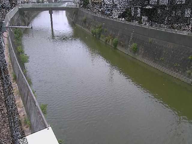 根岸歩道橋付近のカメラ画像
