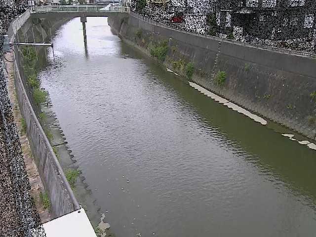 根岸歩道橋付近のカメラ画像