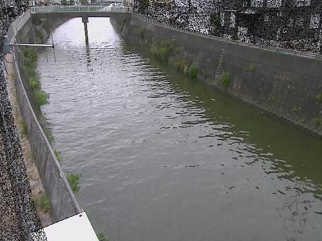 平作川 根岸歩道橋付近のカメラ画像