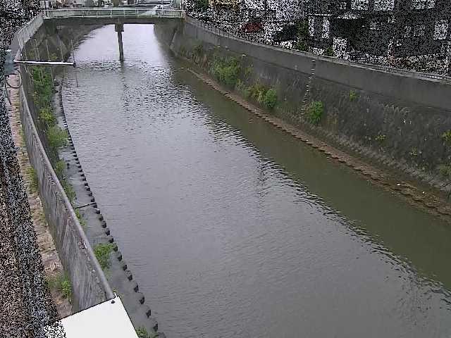 根岸歩道橋付近のカメラ画像