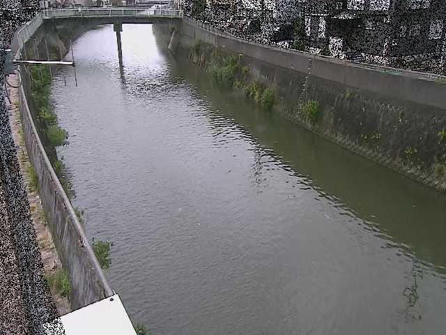 根岸歩道橋付近のカメラ画像