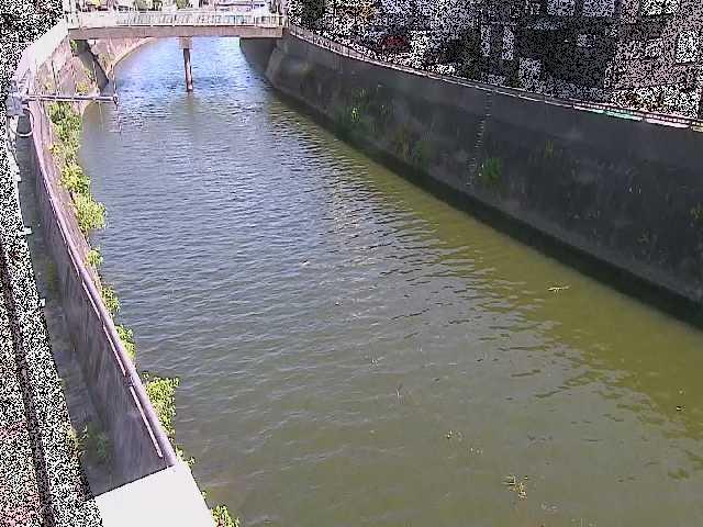 根岸歩道橋付近のカメラ画像