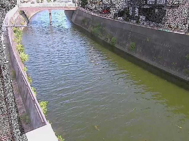根岸歩道橋付近のカメラ画像