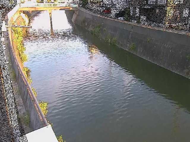 平作川 根岸歩道橋付近のカメラ画像