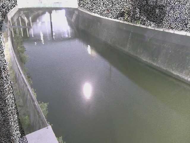 根岸歩道橋付近のカメラ画像