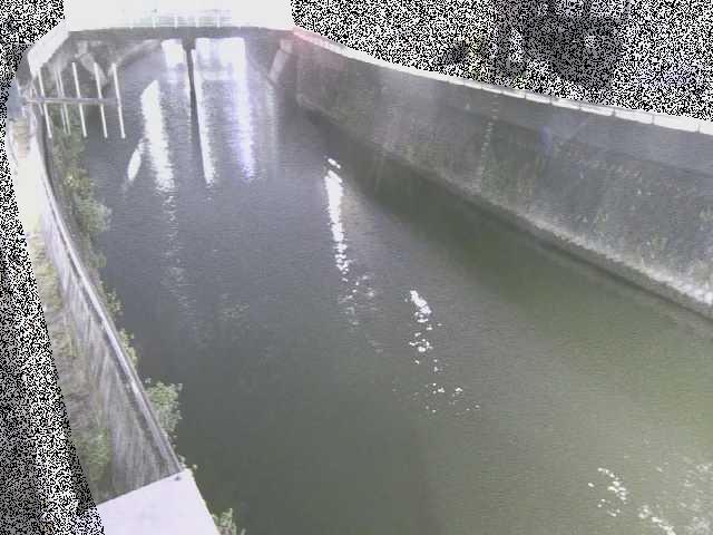 根岸歩道橋付近のカメラ画像