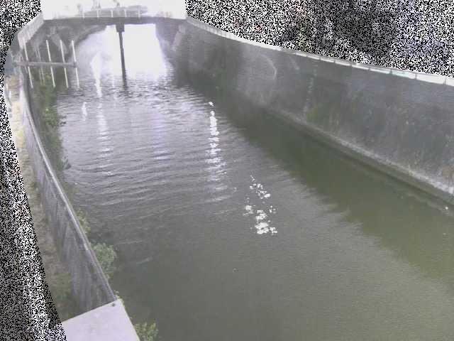 平作川 根岸歩道橋付近のカメラ画像