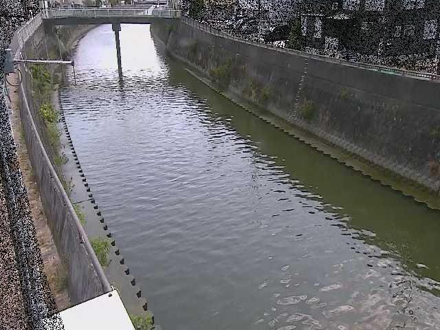 平作川 根岸歩道橋付近のカメラ画像