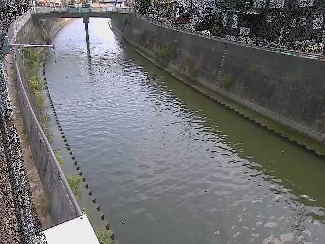 根岸歩道橋付近のカメラ画像