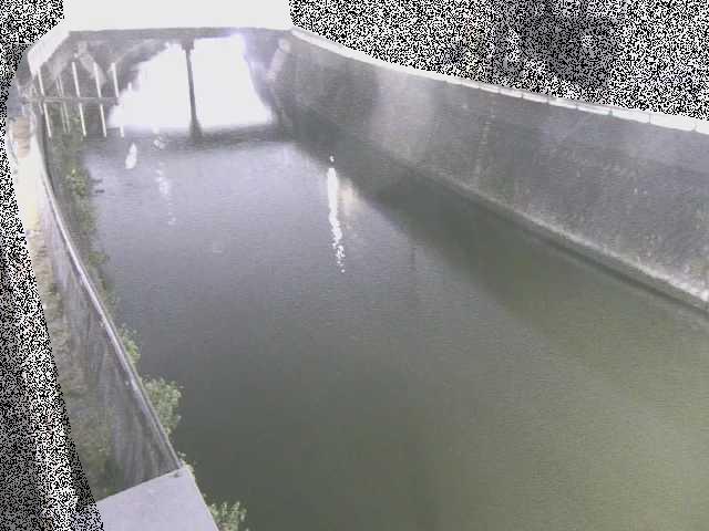根岸歩道橋付近のカメラ画像