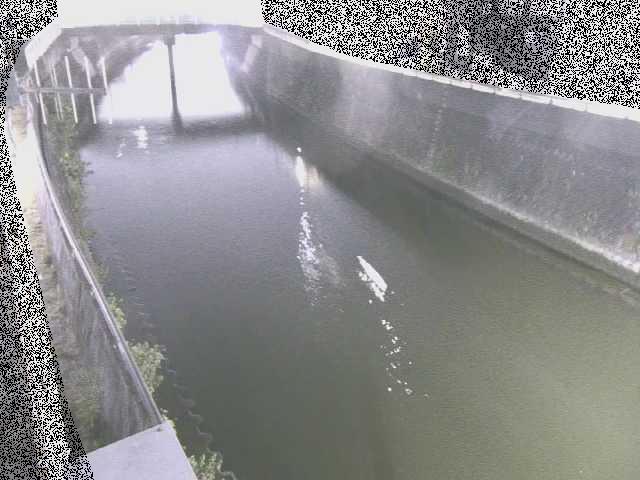 根岸歩道橋付近のカメラ画像