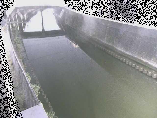 根岸歩道橋付近のカメラ画像