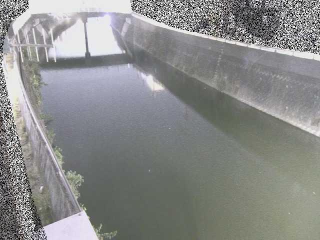 根岸歩道橋付近のカメラ画像